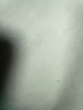 zayona1 (Ask my age) - 1000