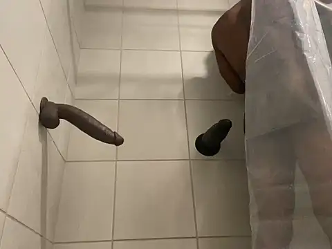 Preview of backshort11