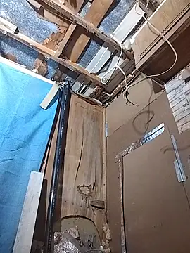 biknight - Biknight's free webcam - UK Sex Cams