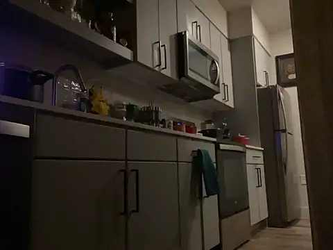 Preview of backshort11