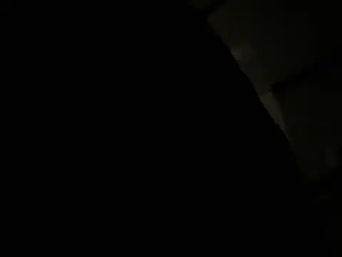 Preview of backshort11