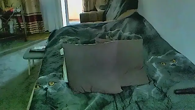 sex2 - Sex2's free webcam