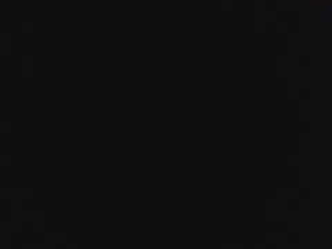 novilho18piroc avatar