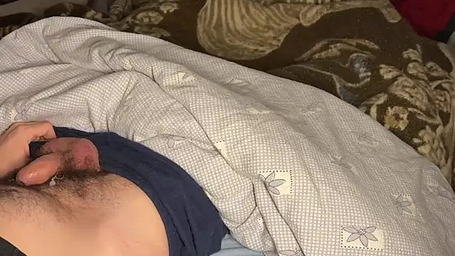 Preview of astro-handy-bi