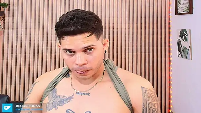 Preview of johan_speitzer