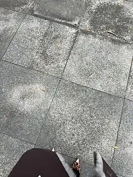 美女petoys在线直播