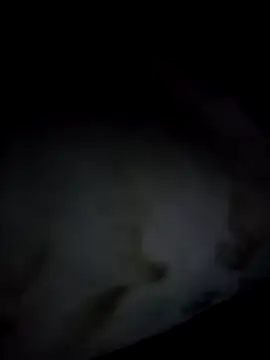 kamillaspencer (F milf) - Oil boobs