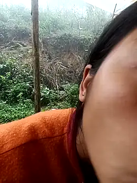 Hoa-tuylip live cam profile