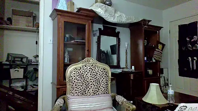 Preview of sophiarica