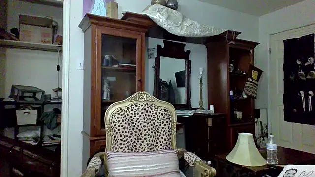 Preview of sophiarica