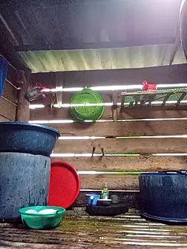 agnes-baby - Agnes-baby's free webcam - UK Sex Cams