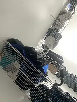 zf-athlete - ZF-Athlete's free webcam