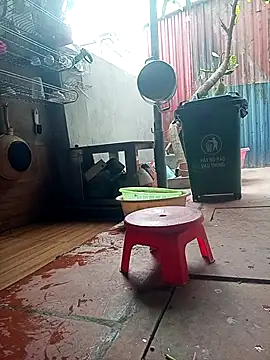 leylin_1 - Leylin_1's free webcam