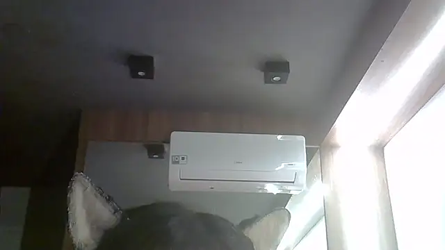 SkinnyKitten live sex cam