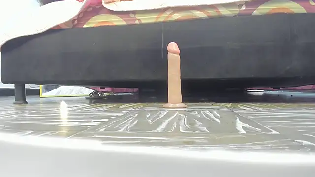 Preview of charlotte_dante212