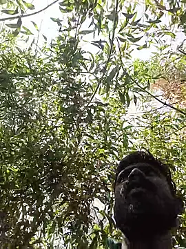 96rohon (M young) - My pleasure