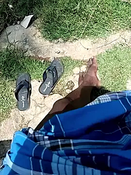 dolphiinn live sex cam