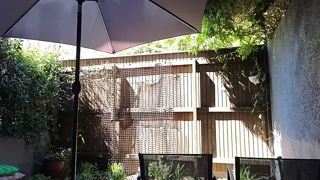 topsywilde (F milf) - Tease me... Please me 😇😈