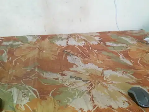 serreyy (F teen) - help raise fees