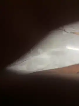 FastFucky live sex cam