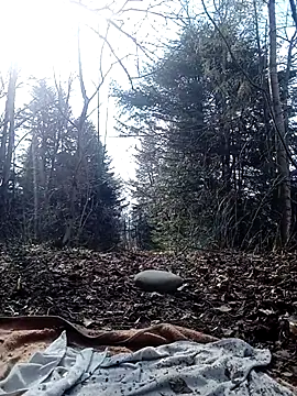 xhelenax90 - XHelenaX90's free webcam - UK Sex Cams