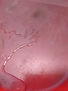 Lovingsol's live cam