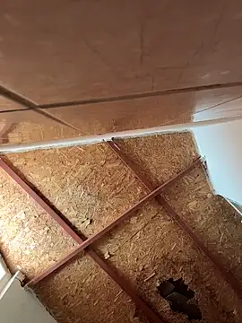 betsy - Betsy's free webcam - UK Sex Cams