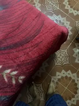 tropicalpied (M young) - Lets have some fun