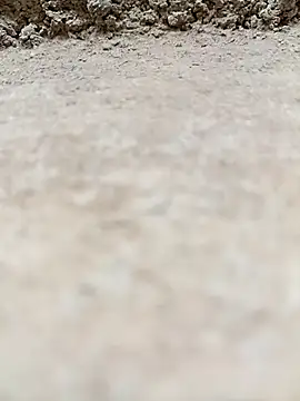 Webcam Model (Rajni_chauhan)  is live.Free join now!