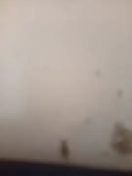 manblackhot (Ask my age) - Make me cum plaesse. me faz goza gostoso