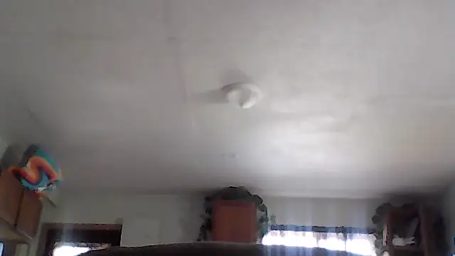 crazyheratic8 (Ask my age) - cum show