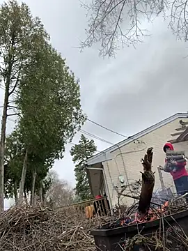 Preview of hailzeffn