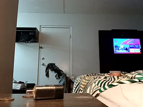 stressrliver88 - Stressrliver88's free webcam - UK Sex Cams