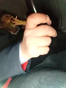 Preview of necroforo