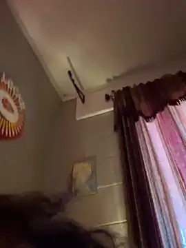 StylishEchium webcam