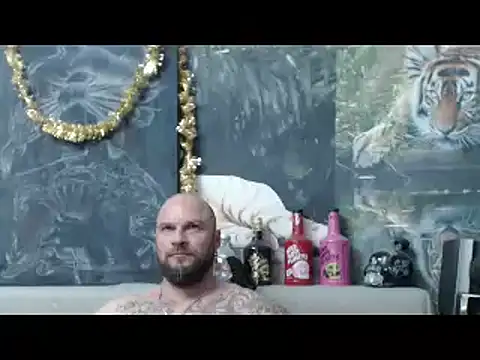 Preview of viking_30