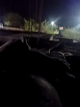 babu_bull (M twink) - 100