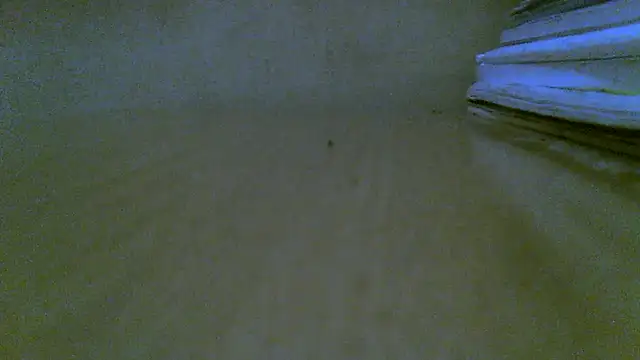 klipparn (M grandpa) - #blondes #cam2cam #cheapest-privates #ejaculation #finnish #flashing #grandpas #handjob #hd #jerk-off-instruction #masturbation #medium #nordic #orgasm #scandinavian #small-audience #straight #swedish #white