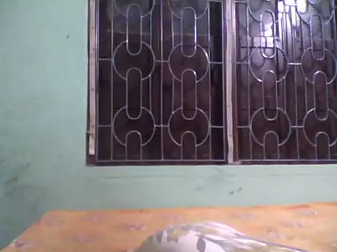 ssamit0808 live sex cam