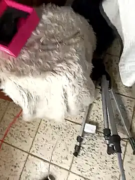 paradisse_ (G young) - 🎯Control Domi + Fingering! 🎯