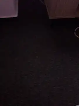 Preview of euerpaar292