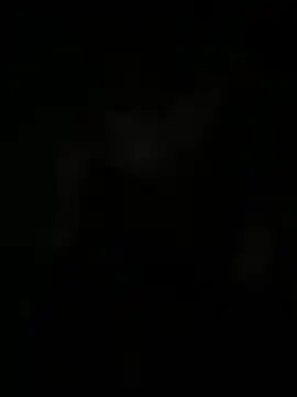 bihf_dam - Bihf_dam's free webcam - UK Sex Cams