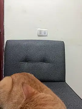 Webcam Model (Melon-000) is live