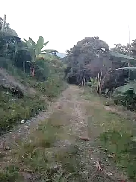 esmeralda_li - Esmeralda_li's free webcam - UK Sex Cams