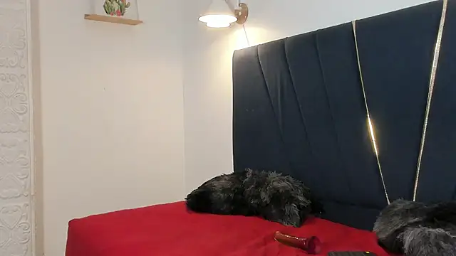 Preview of junior_cum18