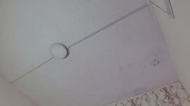 Preview of alexafontana