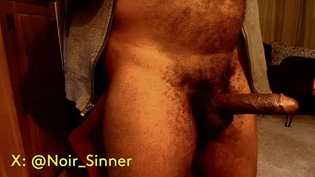 Preview of sinnernoir