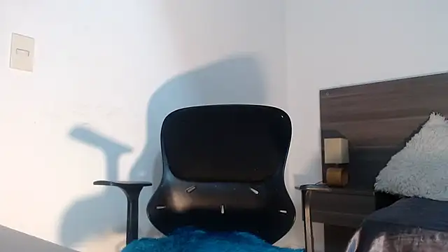 Preview of mila_cams1_