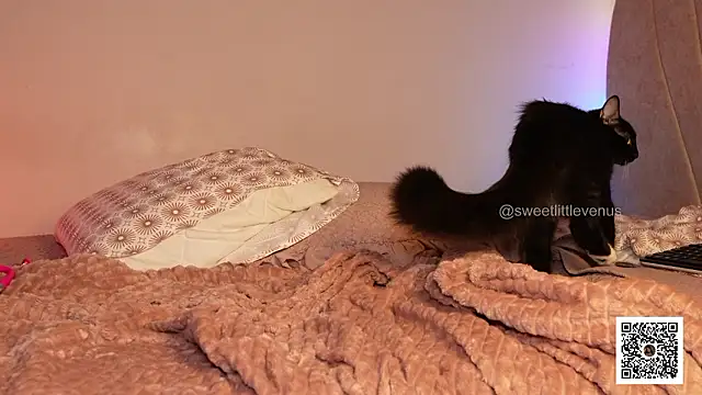 sweetlittlevenus (F young) - show appreciation