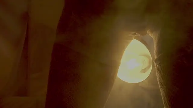 arizonasunrise live sex cam